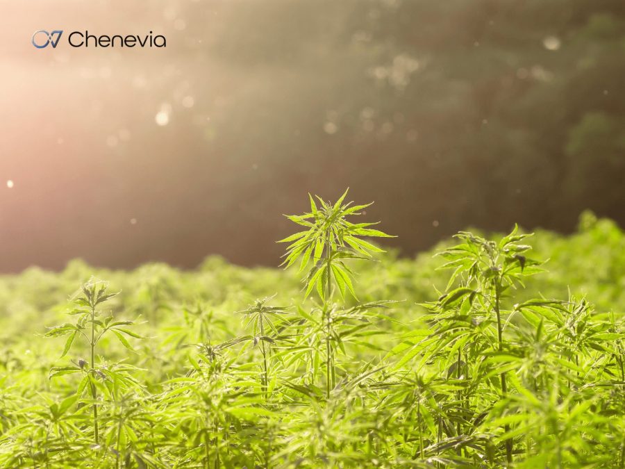 Chenevia lève des fonds avec GwenneG